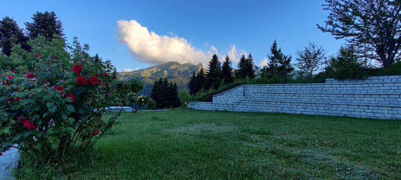Ξενοδοχείο Μαγκιωση Neraidochori Exterior foto