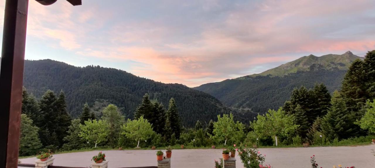 Ξενοδοχείο Μαγκιωση Neraidochori Exterior foto