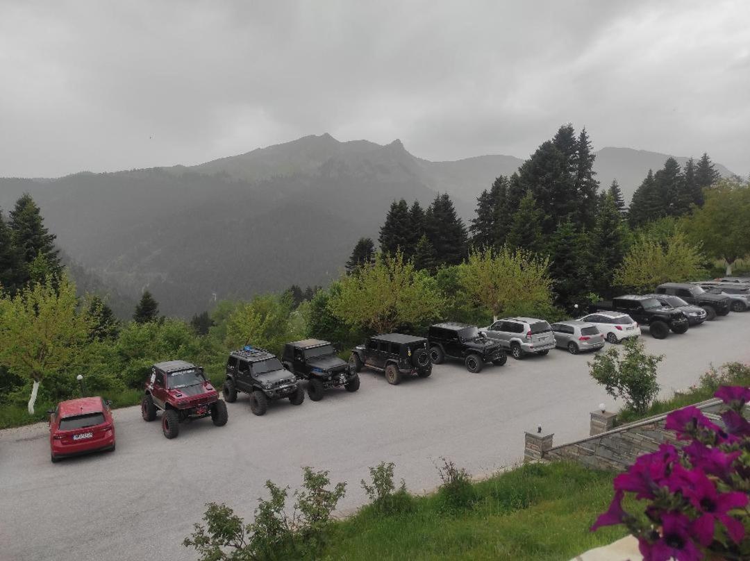 Ξενοδοχείο Μαγκιωση Neraidochori Exterior foto