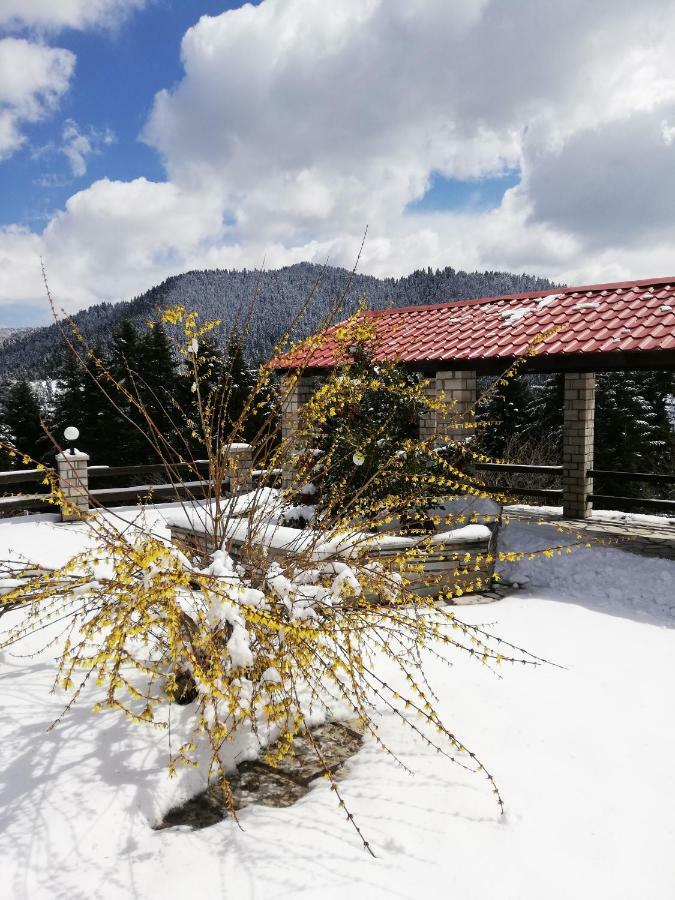 Ξενοδοχείο Μαγκιωση Neraidochori Exterior foto
